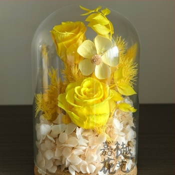 DIY комплект за изсушени цветя в стъклен купол – нарцисова разновидност, пакет с материали за тимбилдинг