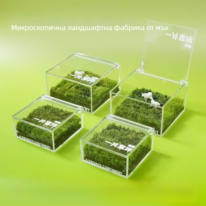 Десктоп микро ландшафт в кутия с мъх — ръчно изработено, персонализируемо, мъхов материал, възможност за печат на лого