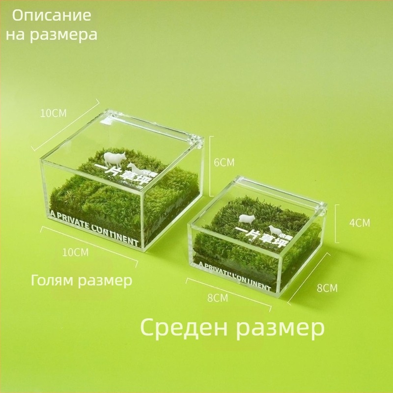 Десктоп микро ландшафт в кутия с мъх — ръчно изработено, персонализируемо, мъхов материал, възможност за печат на лого