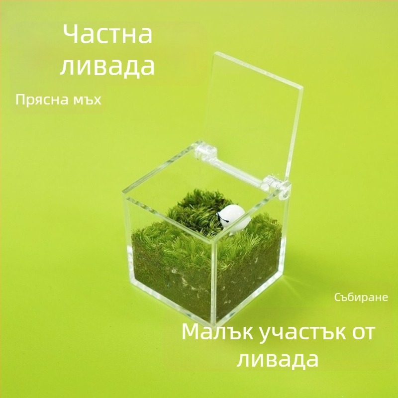 Десктоп микро ландшафт в кутия с мъх — ръчно изработено, персонализируемо, мъхов материал, възможност за печат на лого