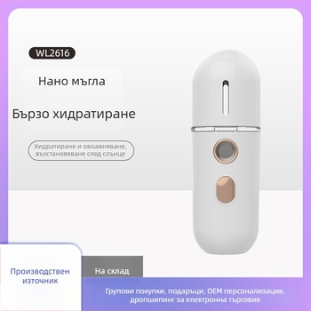 Welland WL2616 мини пръскачка за хидратация със студено пръскане, ръчна портативна козметична пръскачка, 1-ва скорост, вградена батерия, време на мъгла до 10 сек