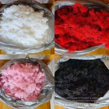 Сушени цветя Penglai pine – странични клонки за сватбено оформление (Материал: сушени и запазени цветя; Вид: Penglai pine; Бранд: Yuetong Flowers)