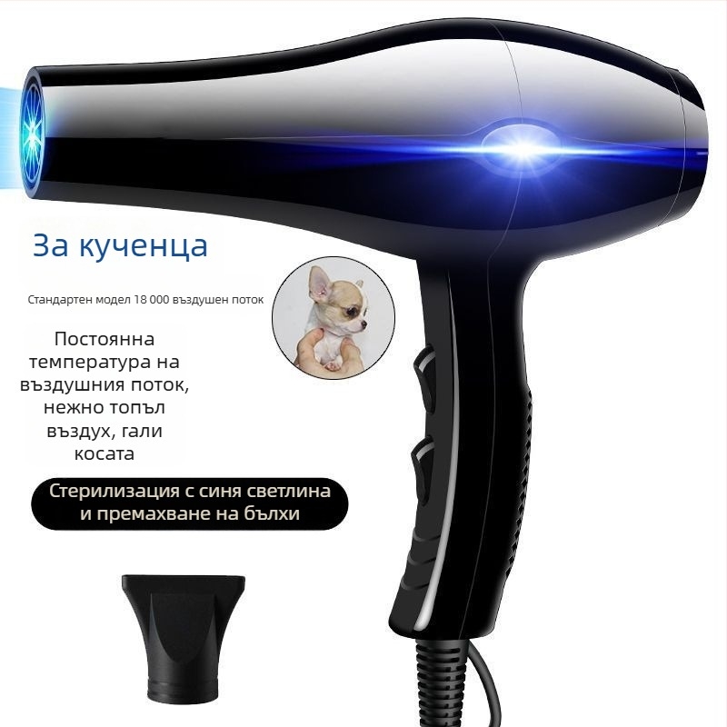 Сешоар за домашни любимци с висока мощност на въздушния поток за кучета и котки (Модел 1, 2000W+, ≤36V, Универсален)