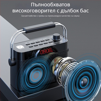 S100 Wi‑Fi интернет радио – пълен обхват, цифрово настройване, 10W RMS, Bluetooth/MP3/WMA, 3000mAh батерия