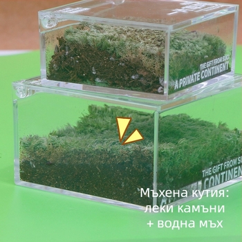 Rice Magpie Акрилен мъхов микро ландшафт за бюро в бутилка — персонализирана форма, прост стил, печат на лого наличен