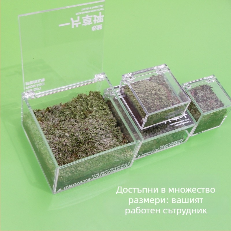 Rice Magpie Акрилен мъхов микро ландшафт за бюро в бутилка — персонализирана форма, прост стил, печат на лого наличен
