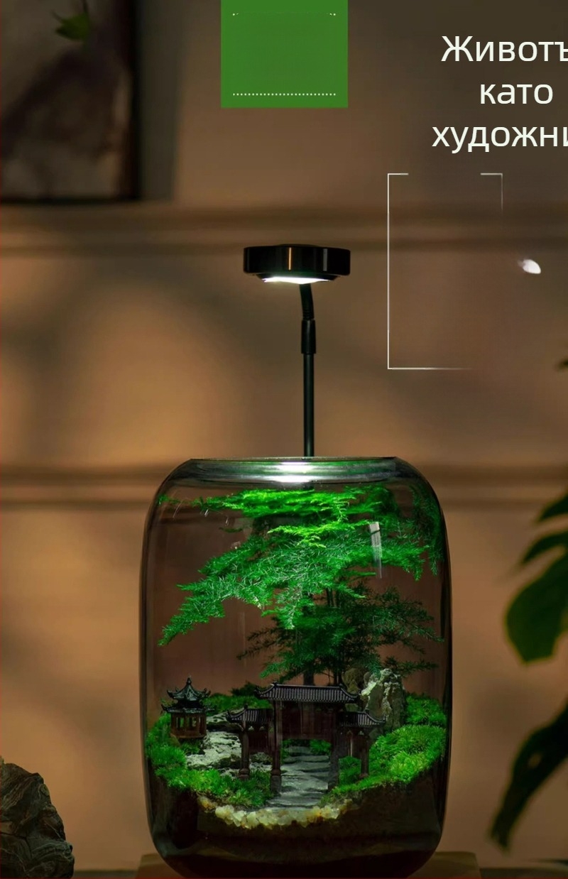 Стъклен мини ландшафт с мъх – офисен бюро-декор за бонсай (Материал: Стъкло, Занаят: Друго, Внос: Не, Подарък: Не, IP разрешение: Не)