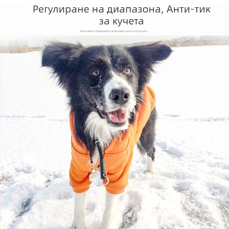 Кучешки нашийник от найлон с въже и веригоподобна конструкция, марка Shubai/Surepet, лицензиран частен етикет, опаковка 100 бр.