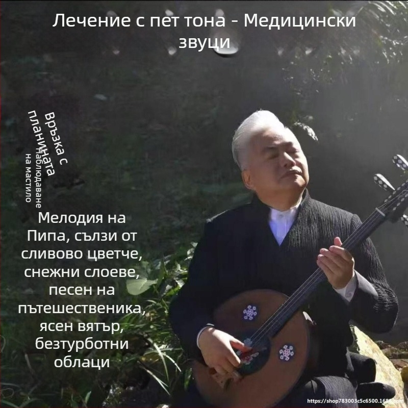 USB флаш-диск за пентатонични китайски инструменти — piano, pipa, guzheng; висококачествен фон за чайна стая; съвместим с монтаж в автомобил