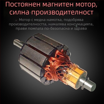 Мултифункционална инфлационна помпа за печени птици и животни (240V, 220W, USB, цифров дисплей, повече от два цилиндъра)