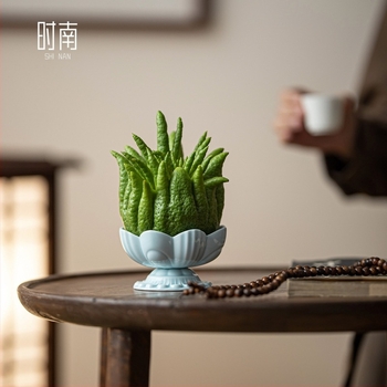 Порцеланов поднос за плодове в дзен стил с мотив лотос и бергамот, марка Shinan, стил New Chinese Style, пролет 2020