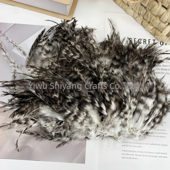 DIY бижутерни аксесоари: сноп пера за облекло; материал: перо; обработка: висока температура дезинфекция; пуск: пролет 2025