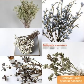 Сухи цветя за занаяти – евкалиптов плод, занаят: друго, марка Huakexin