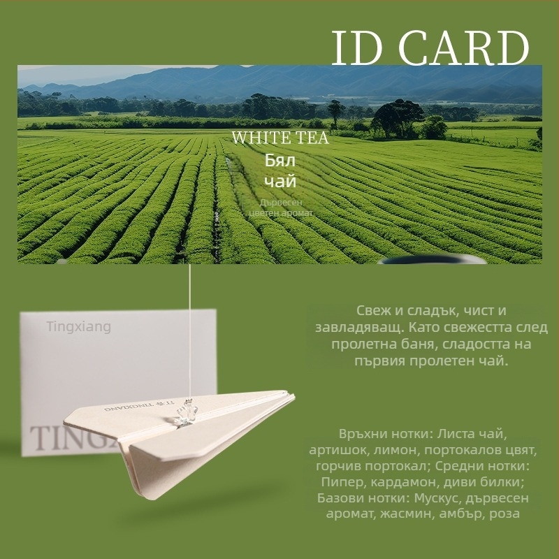 Friendly хартиено самолетче за автомобил – ароматизатор за въздушна решетка, прост стил, автомобилна украса