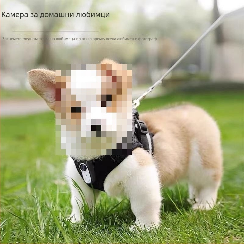 Камера за нашийник на домашни любимци сензорен екран, 8MP, оптично увеличение 3x, перископна леща, 2GB вътрешна памет