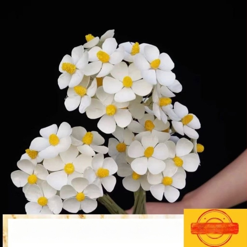 Букет сушени цветя с жилести листа, боядисани, за пакетчета