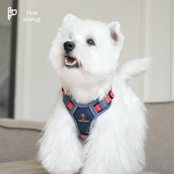 TUFFHOUND експлозийно-устойчив кучешки нагрудник, полиестер, жилетка-стил за разходки