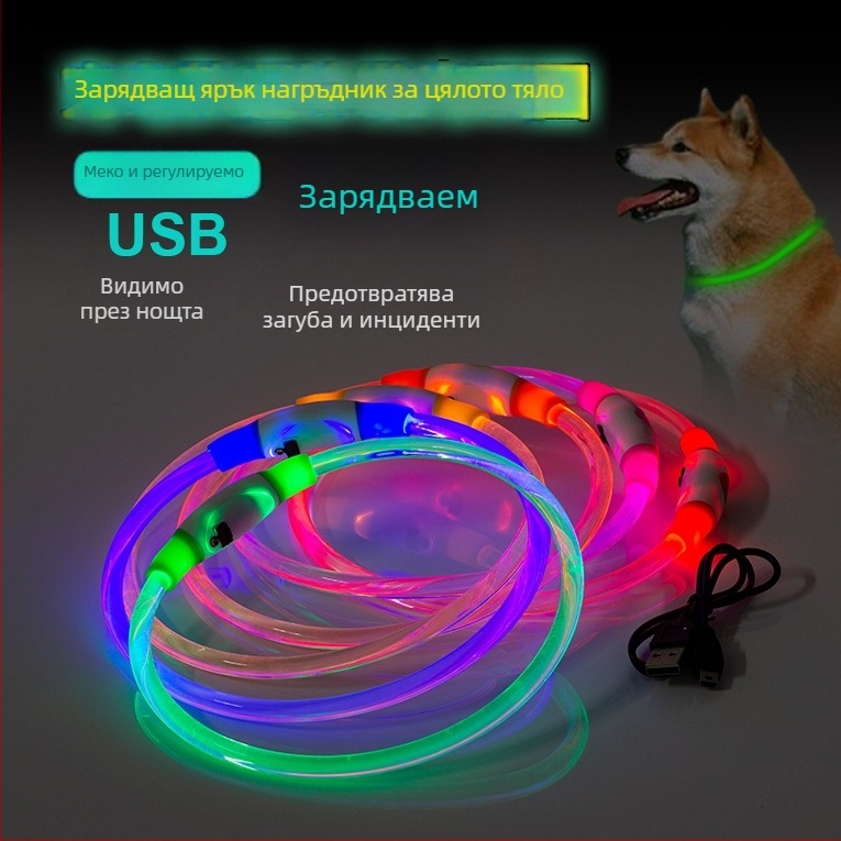 Кучешки LED колан за безопасност, USB презареждаща светлина, прозрачен пластмасов корпус, Leisure стил, подходящ за всички сезони