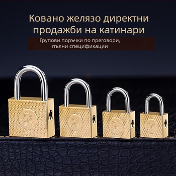 Домашна катинар Type C • Железен корпус • Марка Sailor • За училище, дом, общежитие, фабрика, строителен обект и багаж • Ключът не може да се извади, когато е завъртен за отваряне