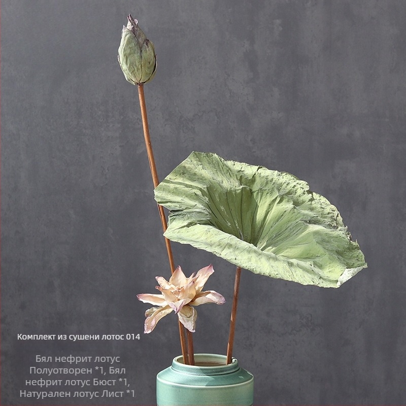 Лотос сушени цветя — букет с реални цветя за дневна, вазова украса, въздушно изсушени листа, естествен китайски стил. Тип: Цветя; Марка: Qirong; Боядисани; Сорт: Ailian dried flower combination 003