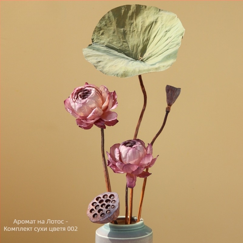 Лотос сушени цветя — букет с реални цветя за дневна, вазова украса, въздушно изсушени листа, естествен китайски стил. Тип: Цветя; Марка: Qirong; Боядисани; Сорт: Ailian dried flower combination 003