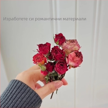 Изсушено цвете-роза с множество глав - DIY подарък, реквизит за снимки, стенен декор, не боядисано