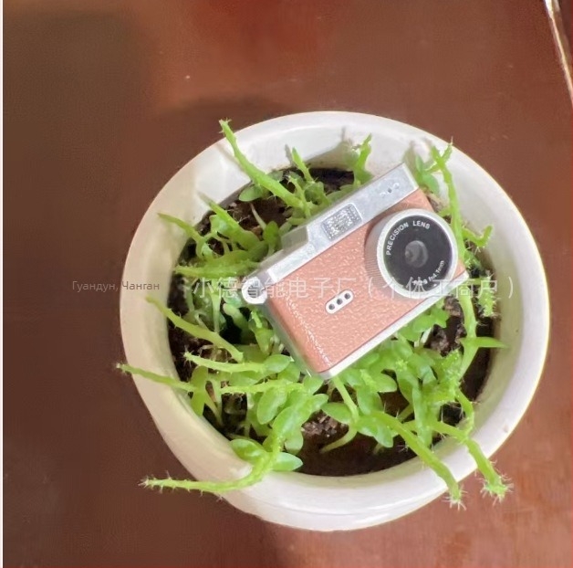 Мини камера за ученици, видеозапис и снимки, 0.96-инч LCD, поддръжка на карта памет, модел 21, време на работа 1–3 ч