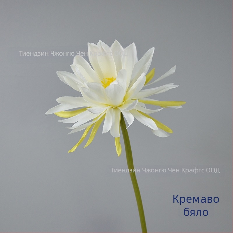 Изкуствено цвете Epiphyllum, с едно клонче, за фотозаснемане, сватби и домашна декорация; Материал: коприна; Изработка: стилизиране, релеф; Модел 18904525367