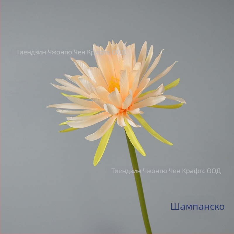 Изкуствено цвете Epiphyllum, с едно клонче, за фотозаснемане, сватби и домашна декорация; Материал: коприна; Изработка: стилизиране, релеф; Модел 18904525367