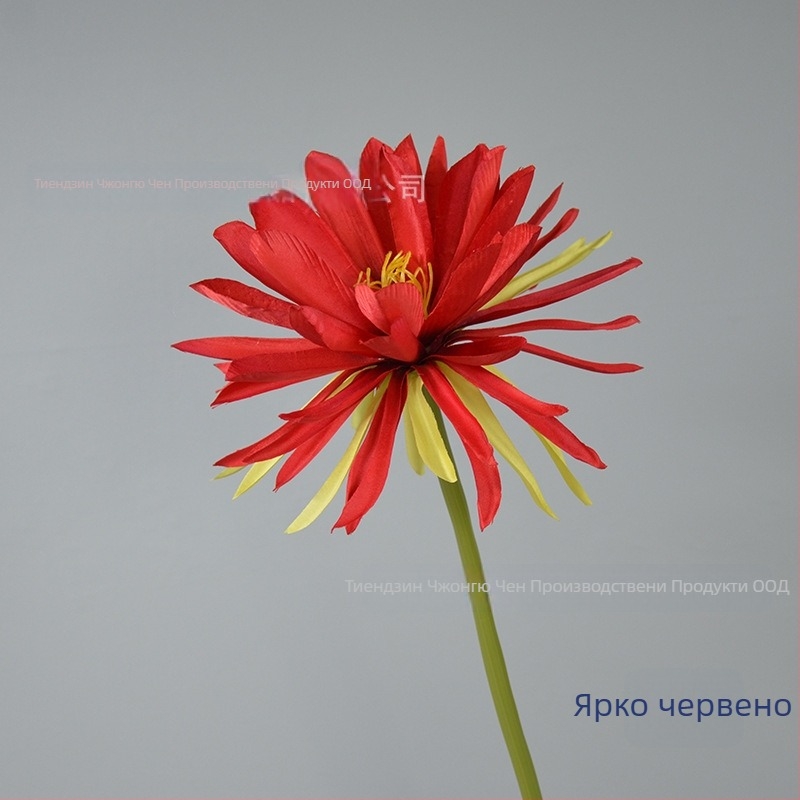 Изкуствено цвете Epiphyllum, с едно клонче, за фотозаснемане, сватби и домашна декорация; Материал: коприна; Изработка: стилизиране, релеф; Модел 18904525367