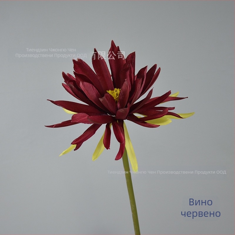 Изкуствено цвете Epiphyllum, с едно клонче, за фотозаснемане, сватби и домашна декорация; Материал: коприна; Изработка: стилизиране, релеф; Модел 18904525367