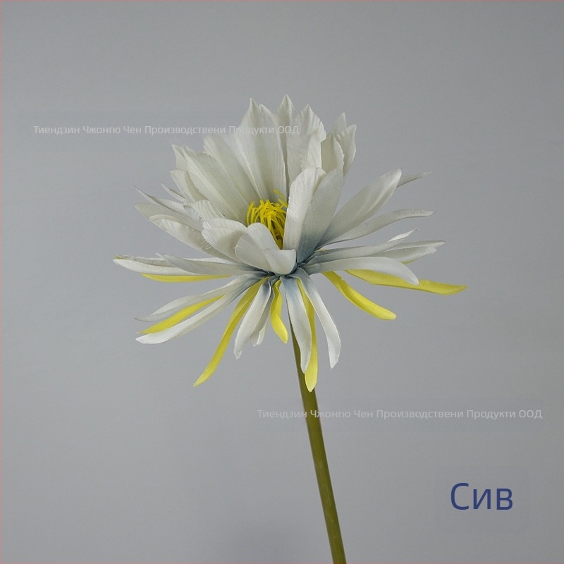 Изкуствено цвете Epiphyllum, с едно клонче, за фотозаснемане, сватби и домашна декорация; Материал: коприна; Изработка: стилизиране, релеф; Модел 18904525367