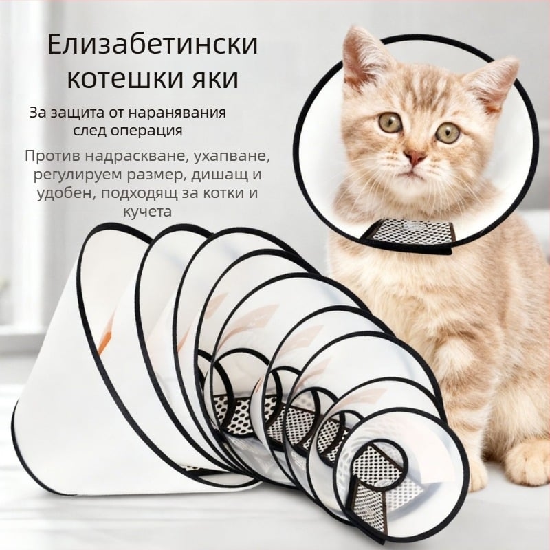 елизабетова яка за котки и кучета — защита от ухапване и облизване, след стерилизация
