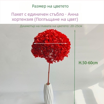 Анна хортензия – запазени цветя, сушени цветя на клонка, боядисани за букет