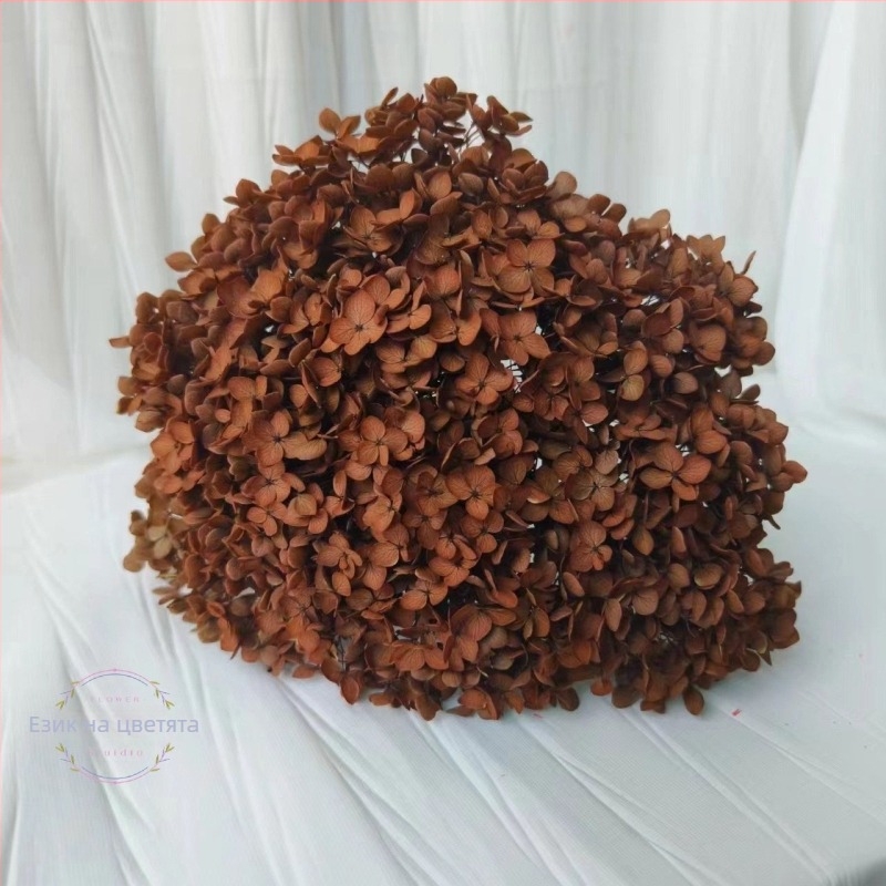 Анна хортензия – запазени цветя, сушени цветя на клонка, боядисани за букет