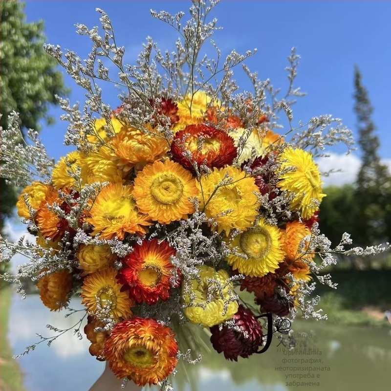 Букет сушени цветя: микс хризантеми и слънчогледи (Материал: сушени и запазени цветя; Опаковка: OPP пакет; Марка: Hua Xi Shi; Код на продукта: Small Star Flower)