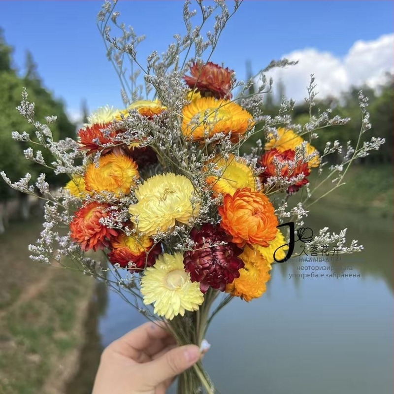 Букет сушени цветя: микс хризантеми и слънчогледи (Материал: сушени и запазени цветя; Опаковка: OPP пакет; Марка: Hua Xi Shi; Код на продукта: Small Star Flower)