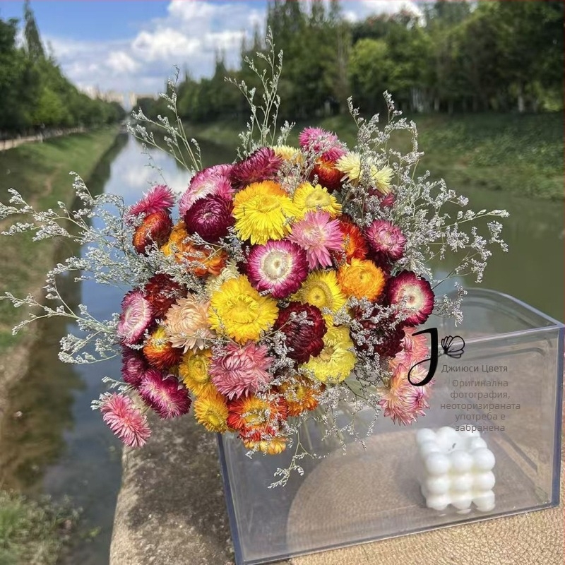 Букет сушени цветя: микс хризантеми и слънчогледи (Материал: сушени и запазени цветя; Опаковка: OPP пакет; Марка: Hua Xi Shi; Код на продукта: Small Star Flower)