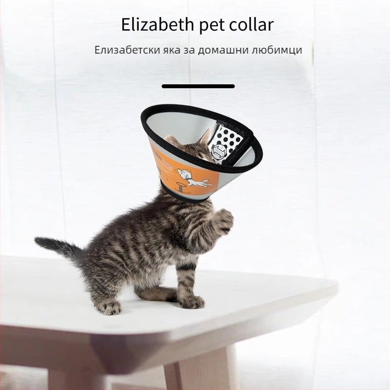 Елизабетова яка за котки и кучета, постоперативна защита, предпазна глава от надраскване и ухапване (Материал: PP/PE; Категория: Elizabeth Circle; Опаковка: 100 бр.; Лицензирана частна марка: Да; Марка: Very good brand)