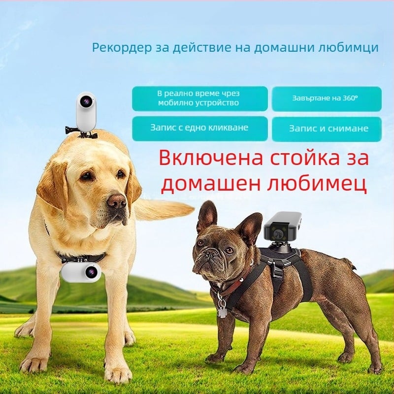 Екшън камера за котки и кучета: перспектива на видеото, аудио запис, влог режим, монтаж на шията/гръдния колан, интелигентна операционна система