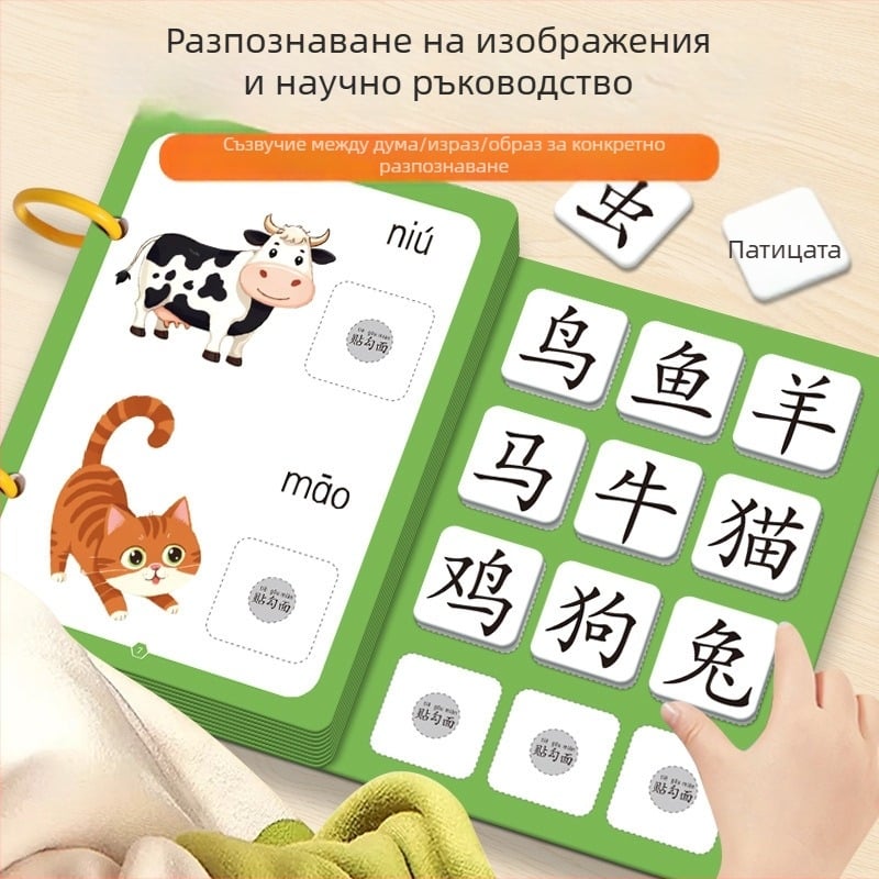 Тиха книга за ранна грамотност с пиктографски карти и комплект стикери; за деца 3–6 г.; материал: хартия; марка Pasien