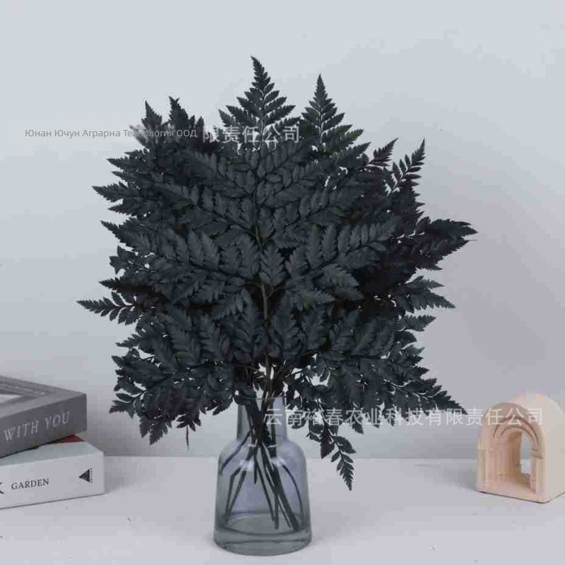 Вечни цветя, алпийска папрат, сухи декоративни листа, комплект 10 бр., реквизит за снимки