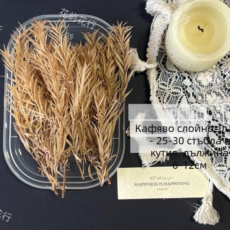 DIY комплект със запазени цветя | многослоен вариант | Код на продукта Ali-727499540242