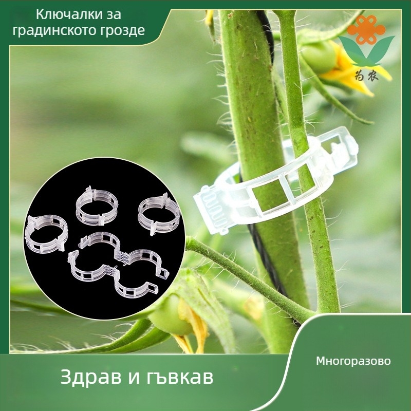 Клипове за връзване на лози – полипропилен, комплект за домашна градина, за връзване на лози, частна марка налична