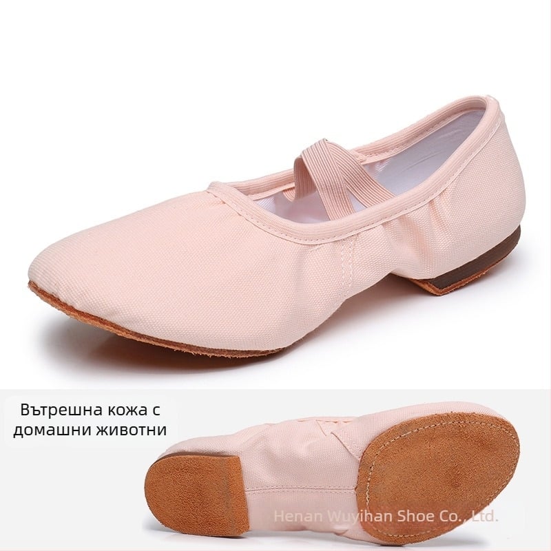Танцови обувки — горна част от платно, подметка от гума, дишащи, леки, износоустойчиви; за балет, модерни танци, латински танци
