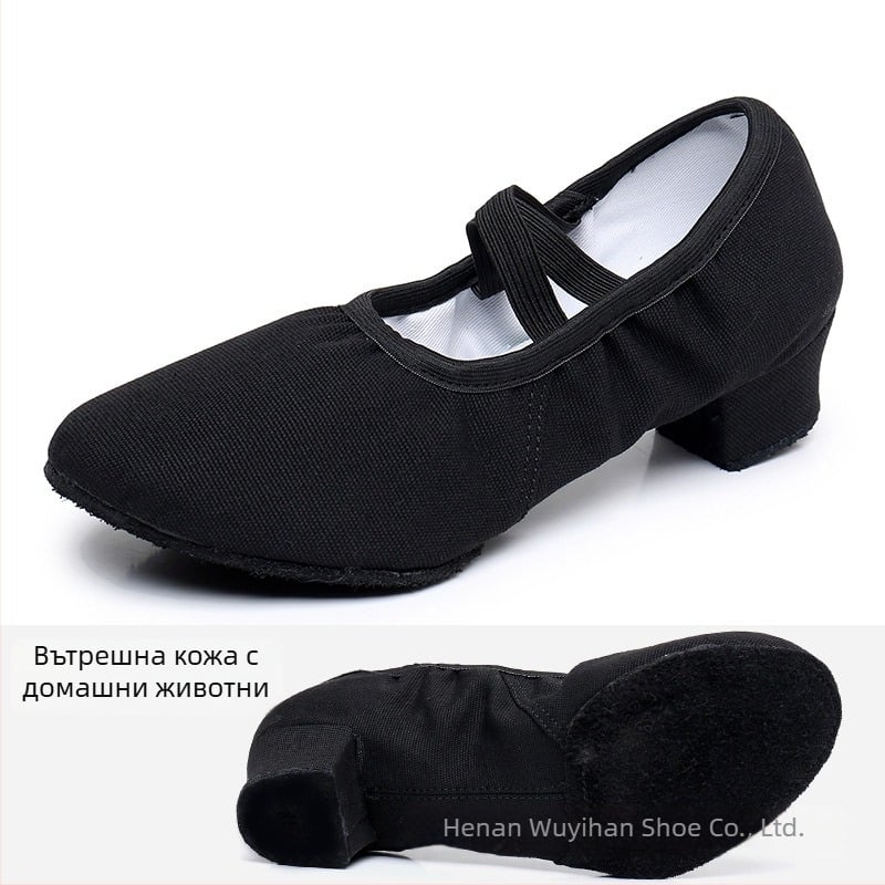 Танцови обувки — горна част от платно, подметка от гума, дишащи, леки, износоустойчиви; за балет, модерни танци, латински танци