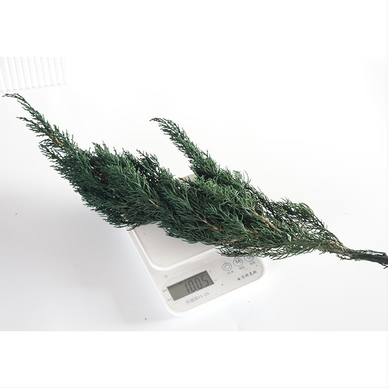 DIY комплект за ароматизирани свещи с бор и кипарис и сушени цветя – марка Flowers Still, готов за подарък