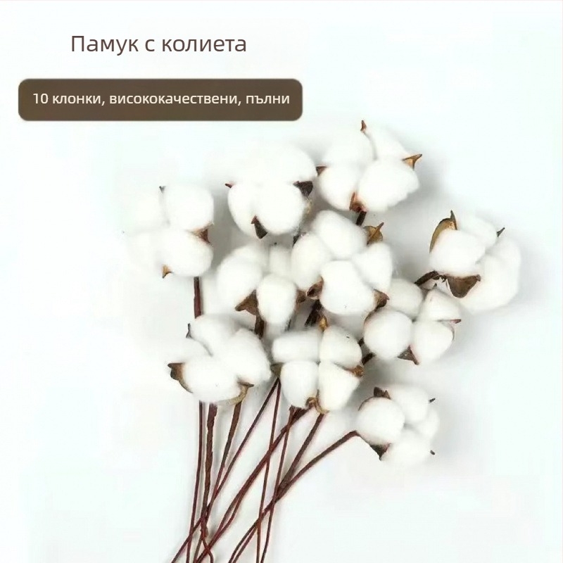 Клончета – сушени цветя от капок за стенна декорация, не боядисано, уникална марка, друг вид