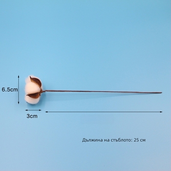 Коледен венец за украса с изсушени памучни цветя, вечни цветя и симулиран памук