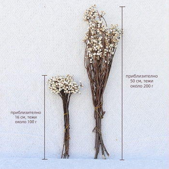 Сушени и вечни цветя – DIY материал за реквизит за снимки и домашна декорация – Linzi Flowers | Материал: сушени цветя; вечни цветя | Процес: Друг | Бранд: Linzi Flowers | Подходящи поводи за подаръци: завършване, нов дом, партита, съболезнование